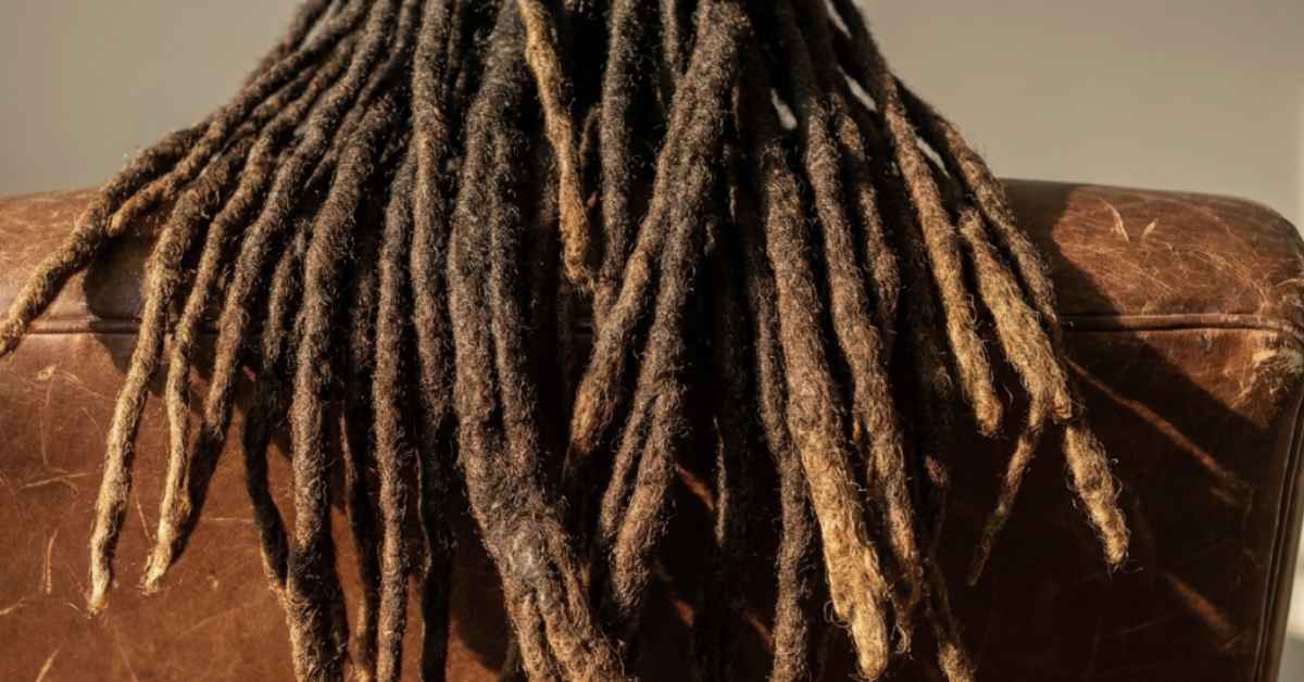 Three year old mature freeform locs draped over a leather chair, deeply locked with natural merges and sun kissed color variation